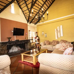 Elephant - lion lodge