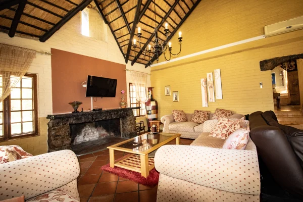 Elephant - lion lodge