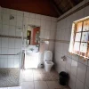 leopard - lion lodge