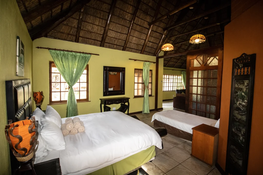 Leopard - lion lodge