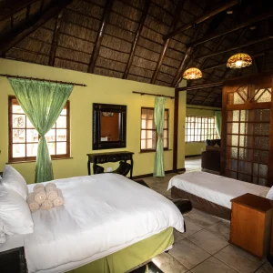 Leopard - lion lodge