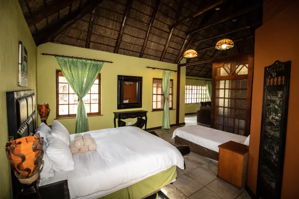 Leopard - lion lodge