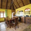 leopard - lion lodge