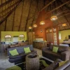 leopard - lion lodge