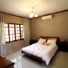 Zebra - lion lodge