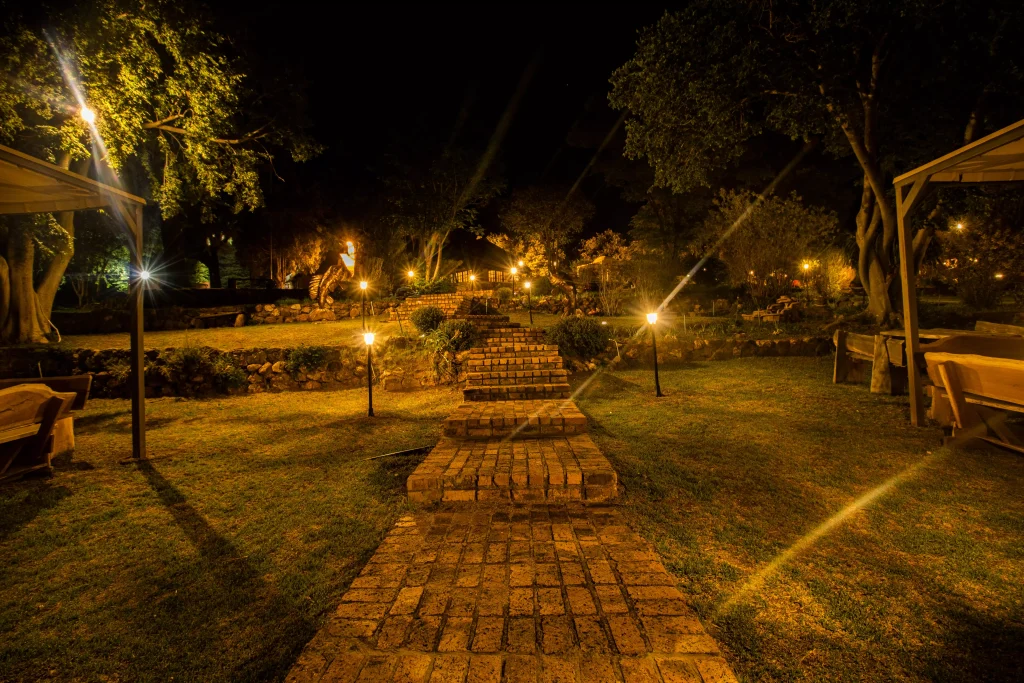 Night walk - lion lodge