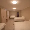 Buffalo - lion lodge