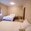 Buffalo - lion lodge