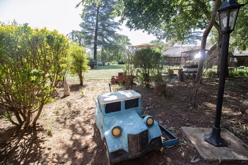 Vintage - lion lodge