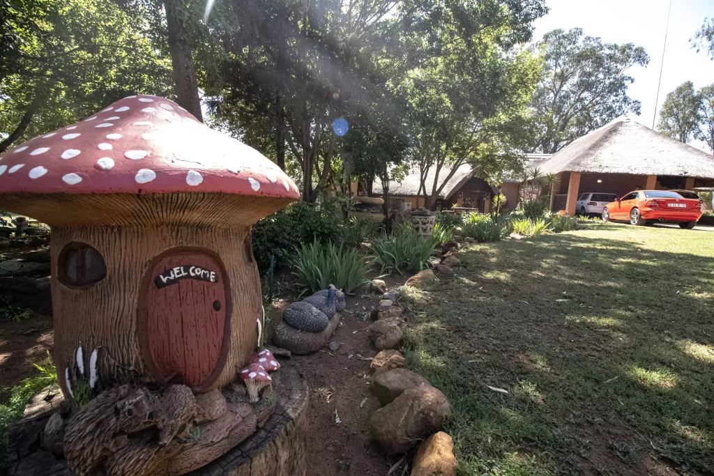 vintage - lion lodge