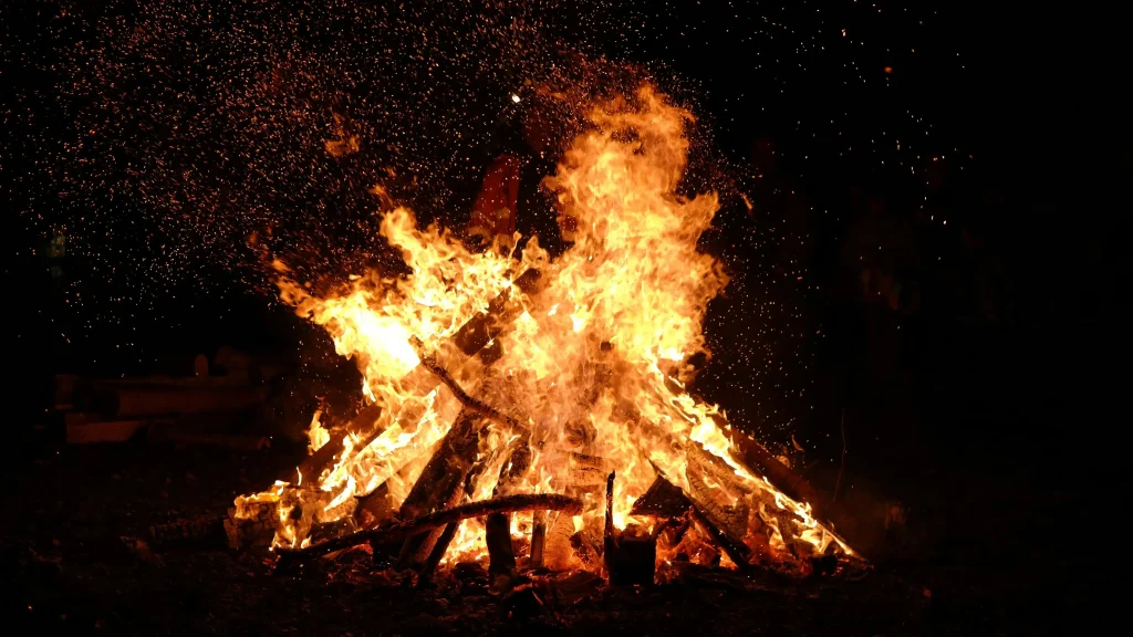 fire - lion lodge