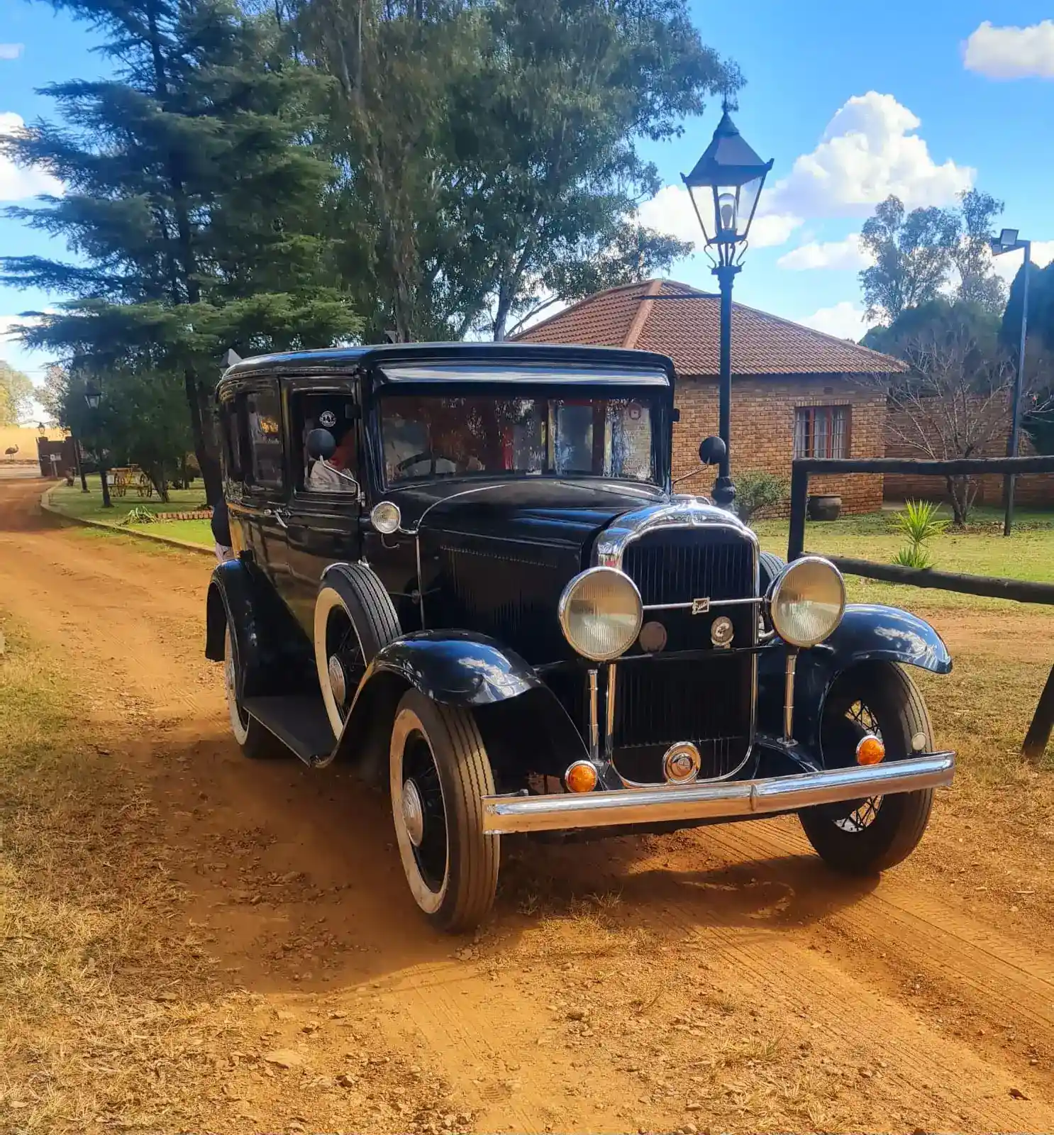 vintage - lion lodge