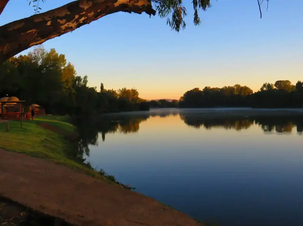 camping - lion lodge