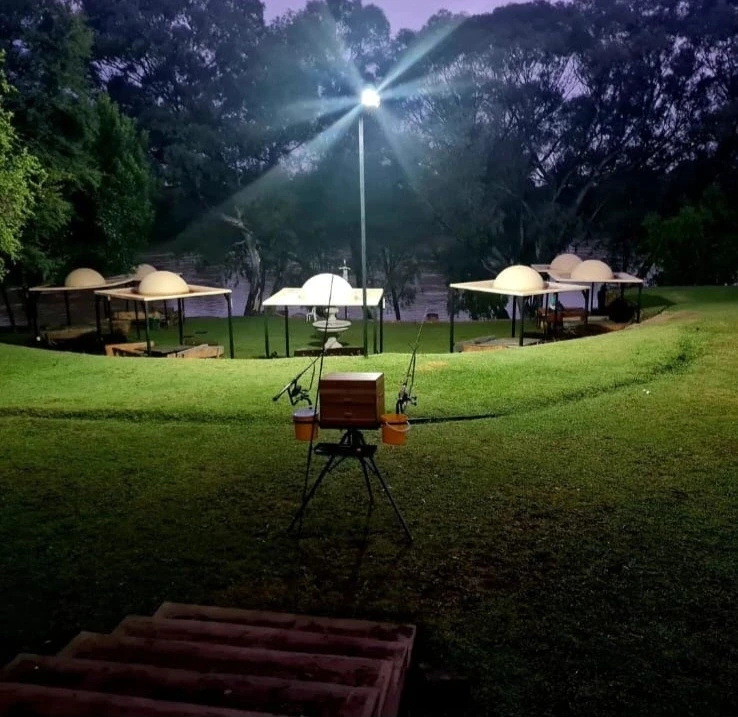 camping - lion lodge