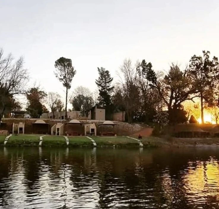 about us - lion lodge