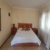 tiger - lion lodge