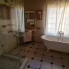 elephant - lion lodge