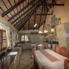 Elephant - lion lodge