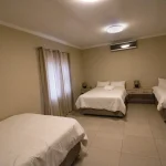 hippo - lion lodge