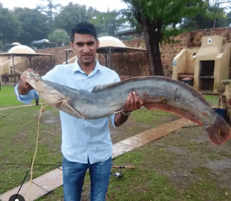 FRONT PAGE - lion lodge